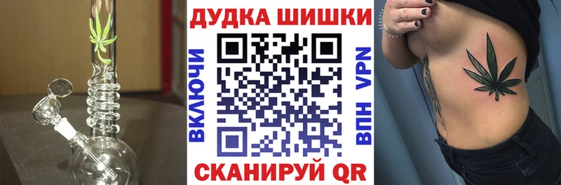 Бошки Шишки гибрид  Дивногорск 